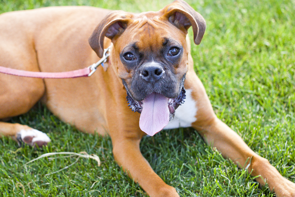 Play Date with Junior