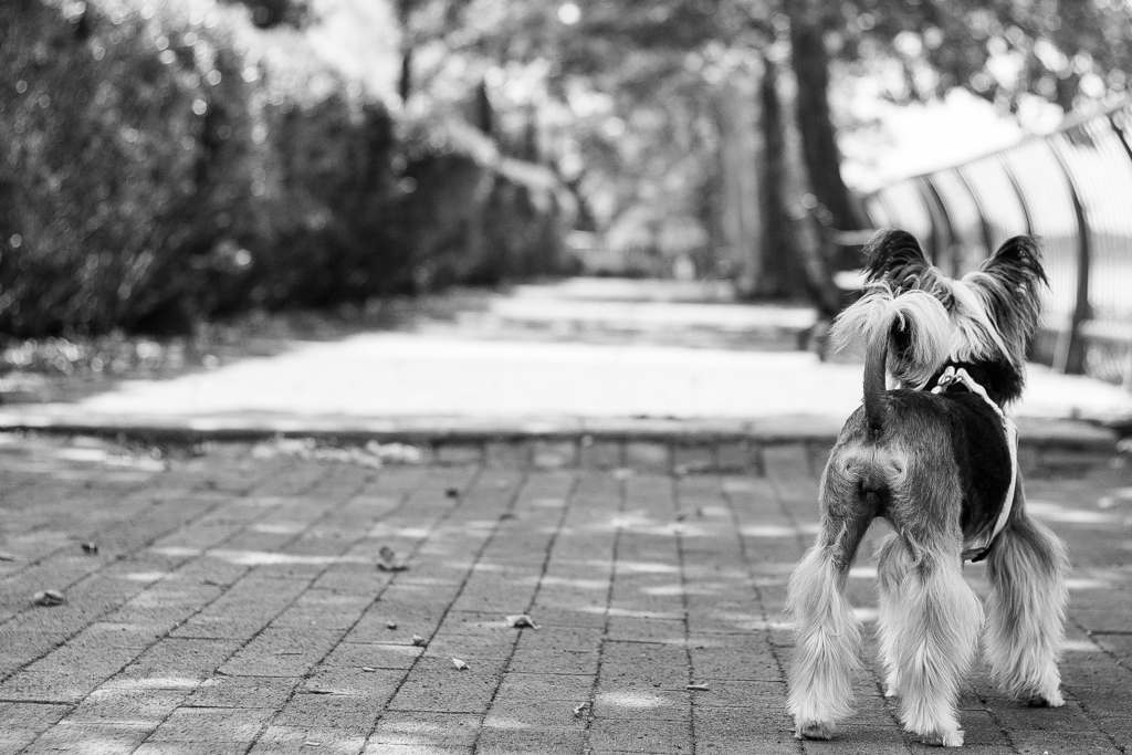 it’s too hot to be outside…