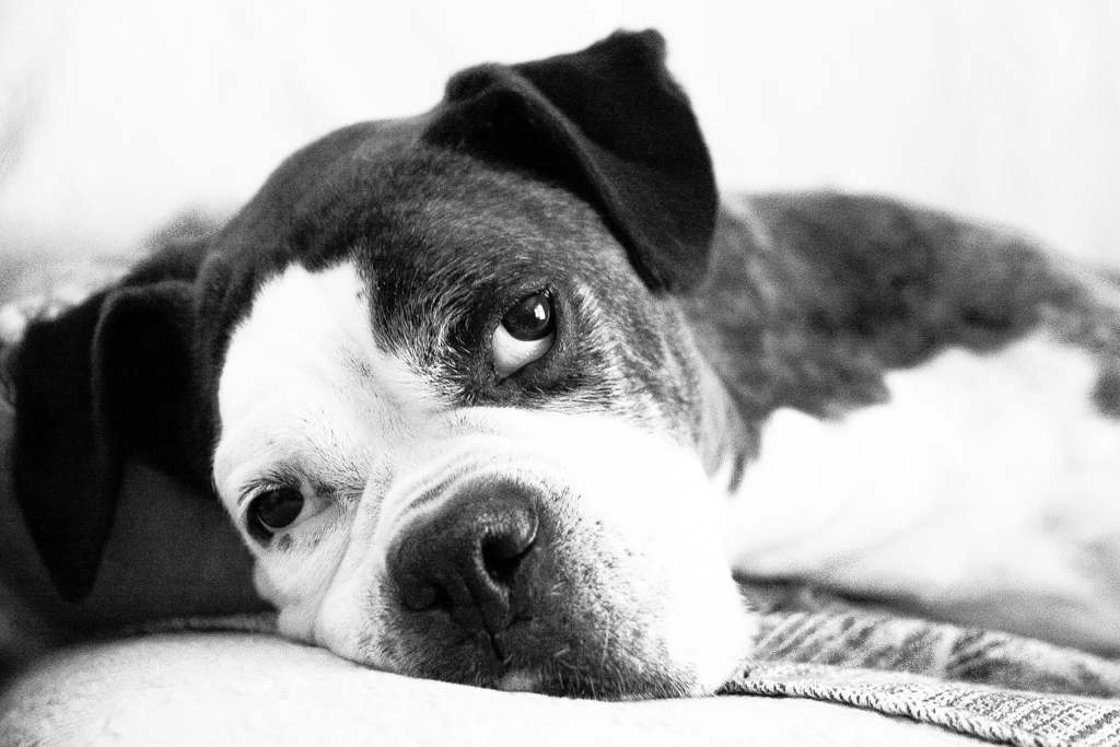 outside through the window