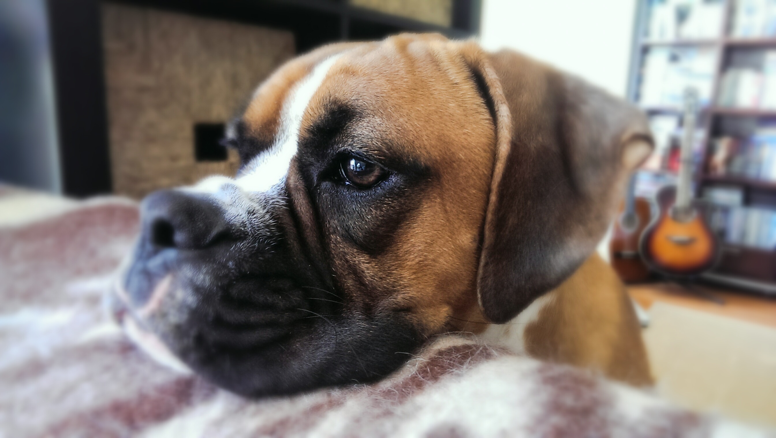 Lettie Bee: 10+ months closeups